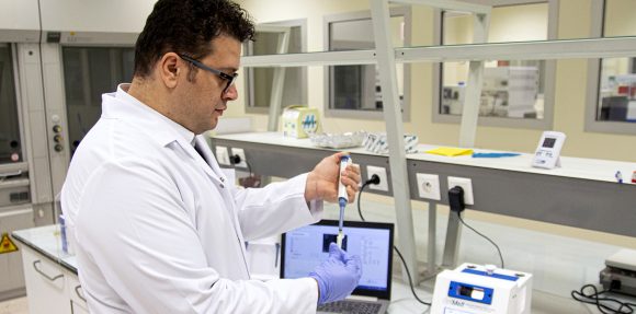 MSCA Individual Fellowship Grant