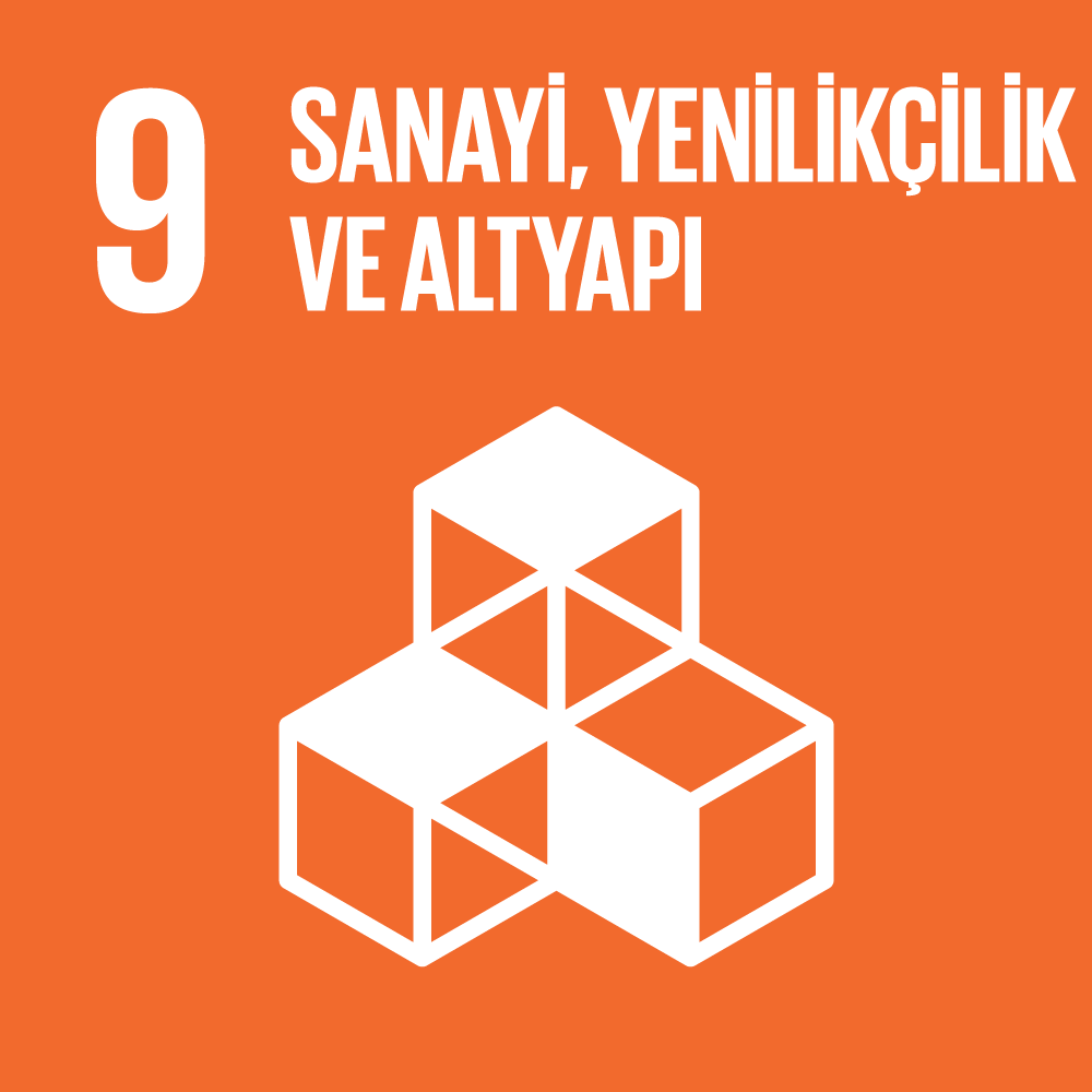 SKA 9 - Sanayi, Yenilikçilik ve Altyapı