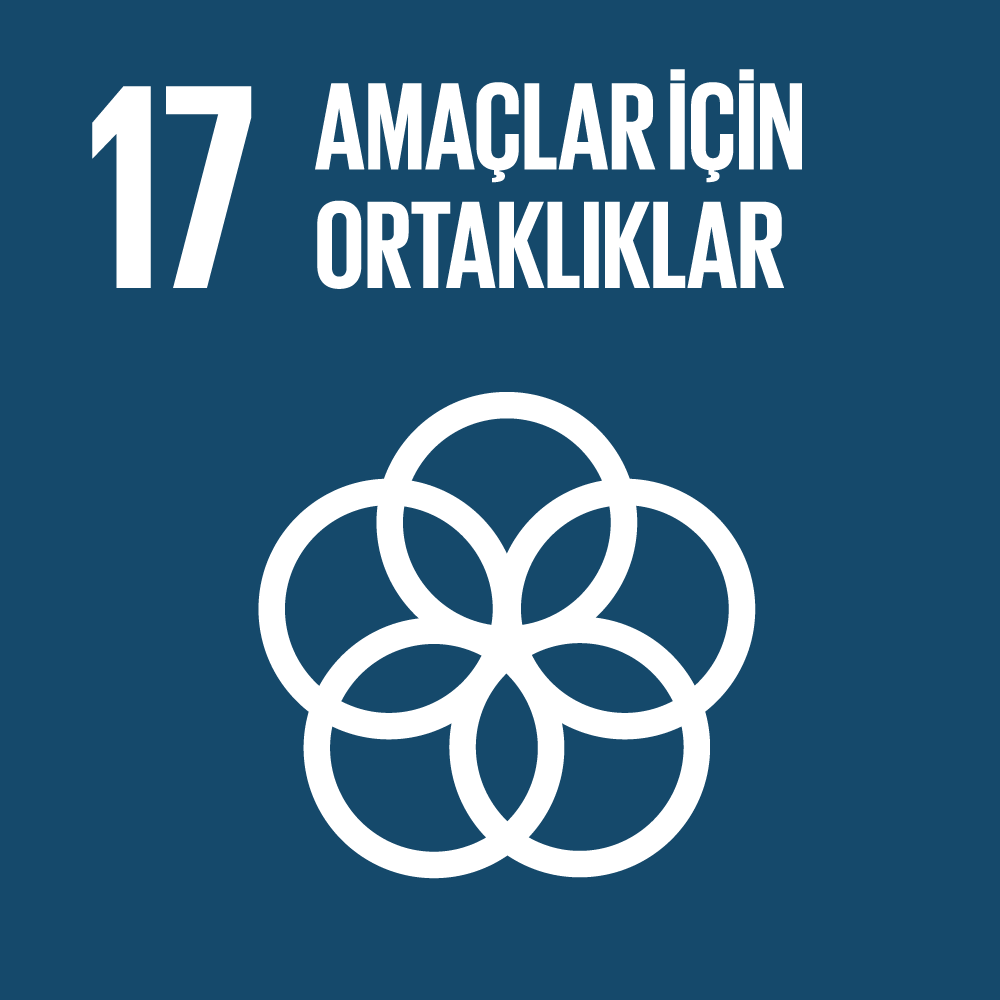 SKA 17 - Amaçlar için Ortaklıklar