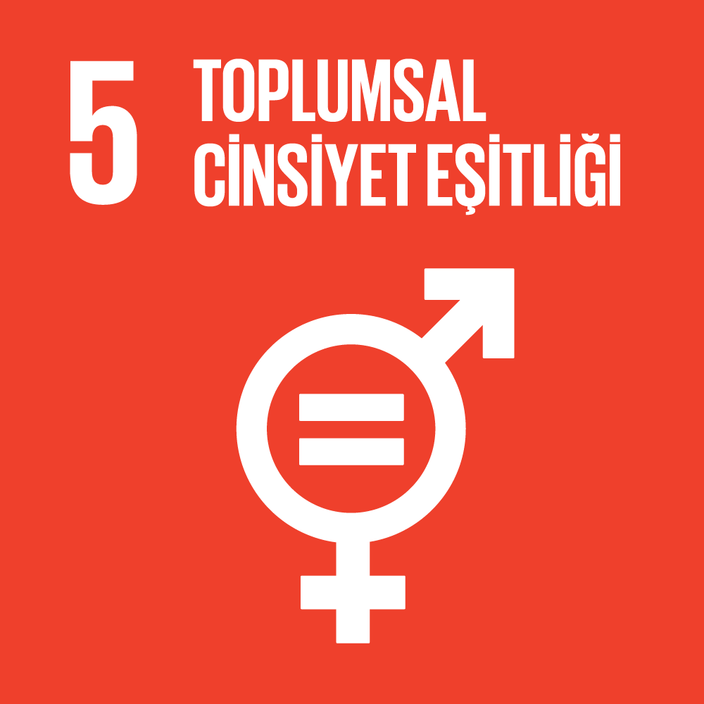 SKA 5 - Toplumsal Cinsiyet Eşitliği